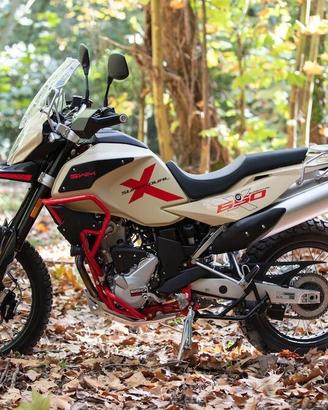 PROMO SWM SUPERDUAL X 650cc