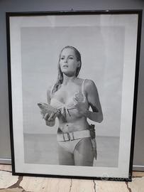 Quadro iconico ursula andress 007 bondgirl