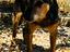 Immagine 2
