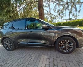 FORD Kuga 3ª serie - 2020