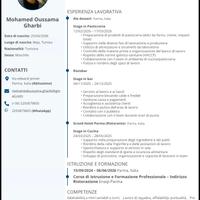 Disponibile per lavoro part-time a Parma