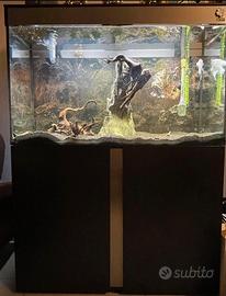 Acquario