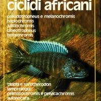 CICLIDI AFRICANI - EDITORIALE OLIMPIA anno 1987
