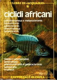 CICLIDI AFRICANI - EDITORIALE OLIMPIA anno 1987