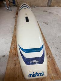 Tavola Windsurf mistral