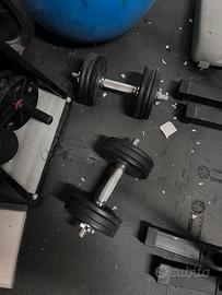 SET PALESTRA COMPLETO