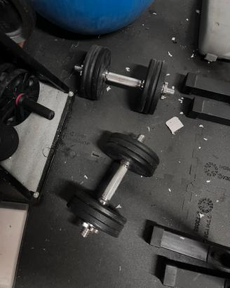 SET PALESTRA COMPLETO
