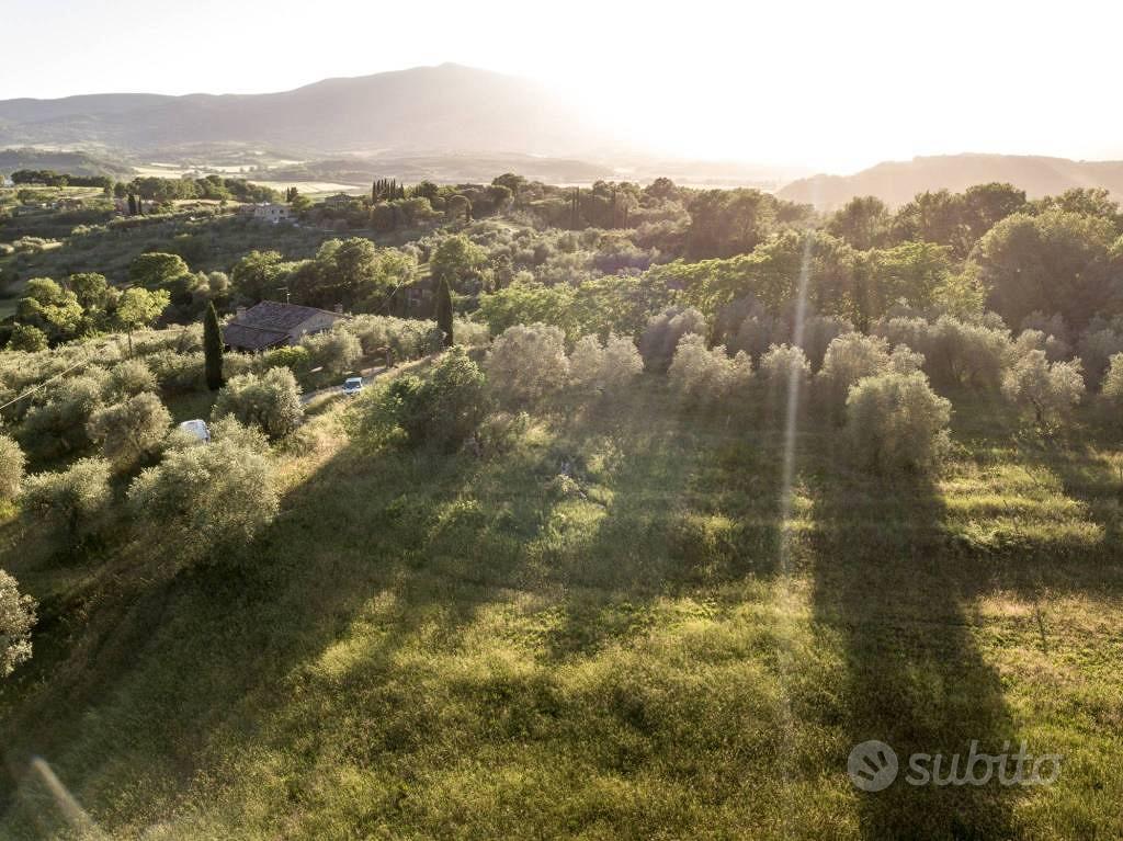 Terreno di 6920 m² a Città della Pieve - Vista 5