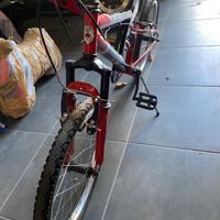 Bicicletta 20 pollici