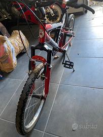 Bicicletta 20 pollici