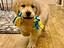 Immagine 22