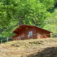 Castagneto +bosco ceduo