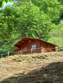 Castagneto +bosco ceduo