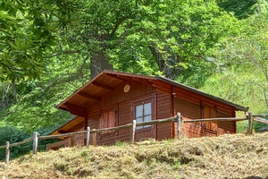 Castagneto +bosco ceduo