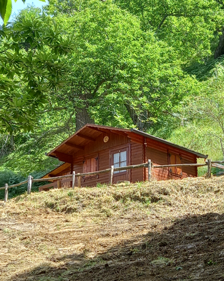 Castagneto +bosco ceduo