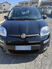 Fiat pandina