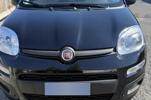 Fiat pandina