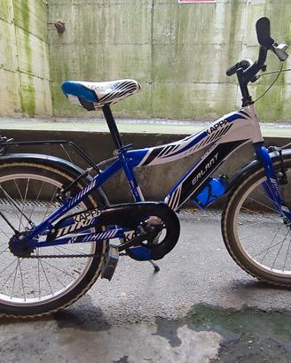 Bicicletta 