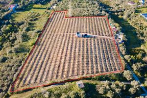 Terreno agricolo con magazzino in Cda Tammì