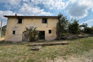 Casa da restaurare più 5 moggi di oliveto