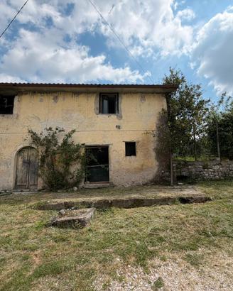 Casa da restaurare più 5 moggi di oliveto