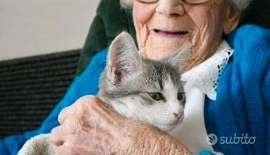 Badante in Convivenza H24