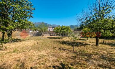 Terreno Agricolo Siano [Cod. rif 3265863VRG]
