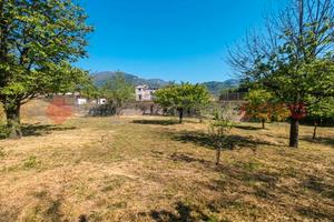 Terreno Agricolo Siano [Cod. rif 3265863VRG]