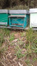 Arnia con portichetto