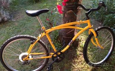 Bicicletta mountain bike