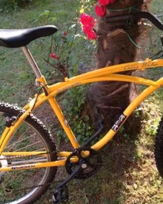 Bicicletta mountain bike