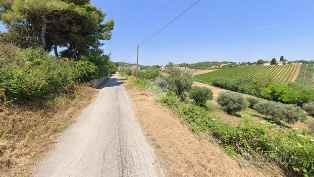 TER. AGRICOLO A ROSETO DEGLI ABRUZZI