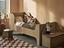 Immagine 12