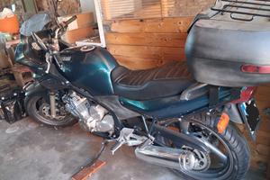 Yamaha Diversion 600