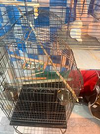 Gabbia per qualsias tipo di volatile