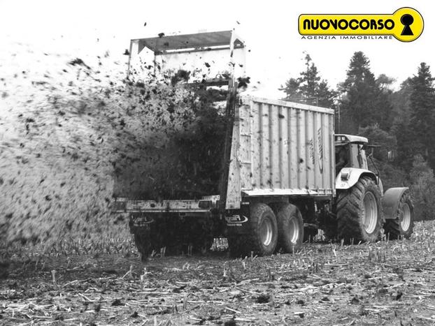 Ceregnano (RO) - Terreno agricolo con piccolo fabb