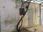 Immagine 26