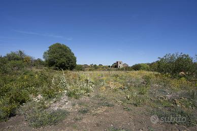 Rif.AL230| terreno agricolo belpasso