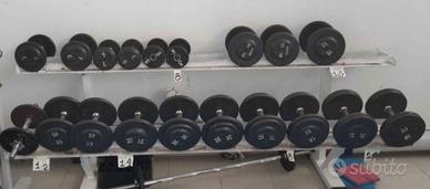 Palestra Manubri