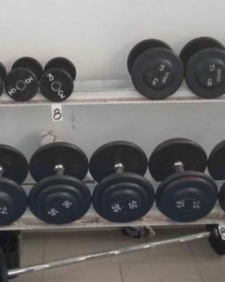 Palestra Manubri