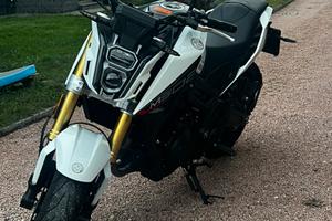 Naked morbidelli  M502N