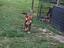 Immagine 26