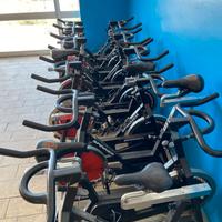 12 Bici da Spinning Schwinn