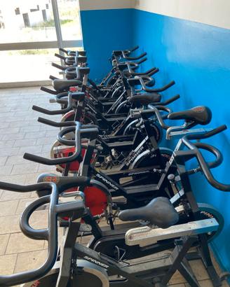 12 Bici da Spinning Schwinn