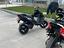 Immagine 6