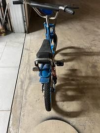 Salta fox da bambino