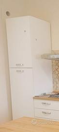 frigo 
