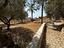 Immagine 14