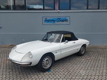 Alfa Romeo Spider 1750 Osso di seppia
