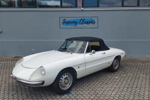 Alfa Romeo Spider 1750 Osso di seppia